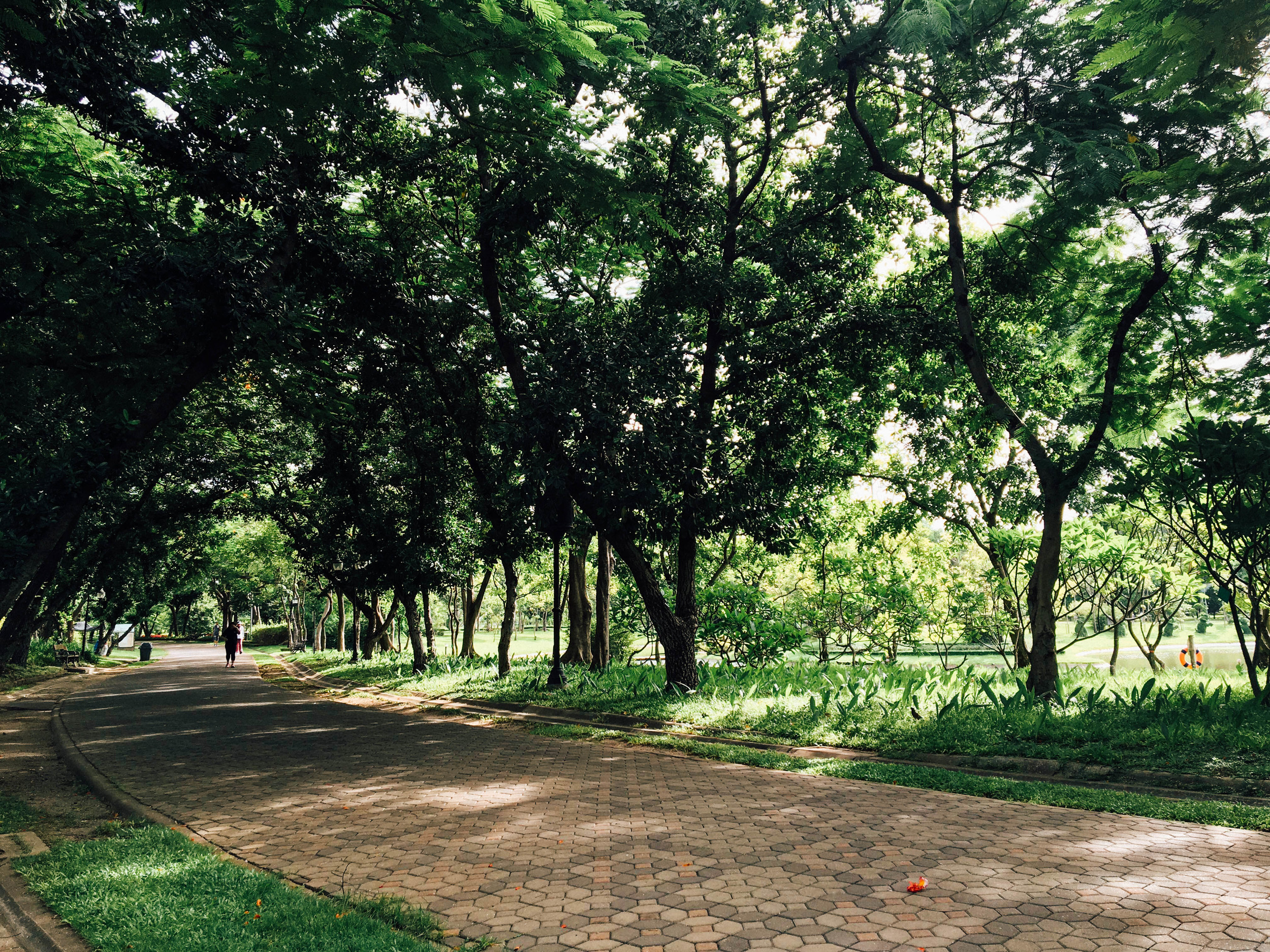 Lumphini Park