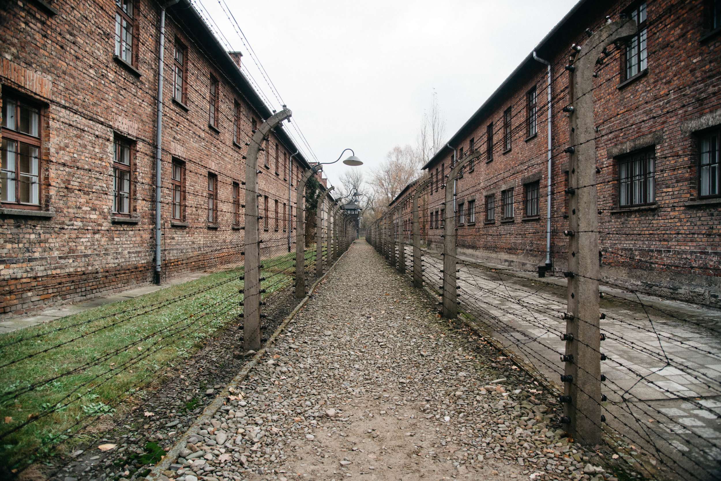 Fencing at Auschwitz