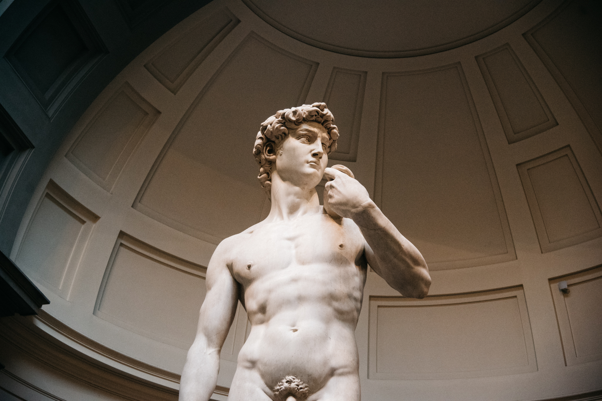 Michelangelo's "David"