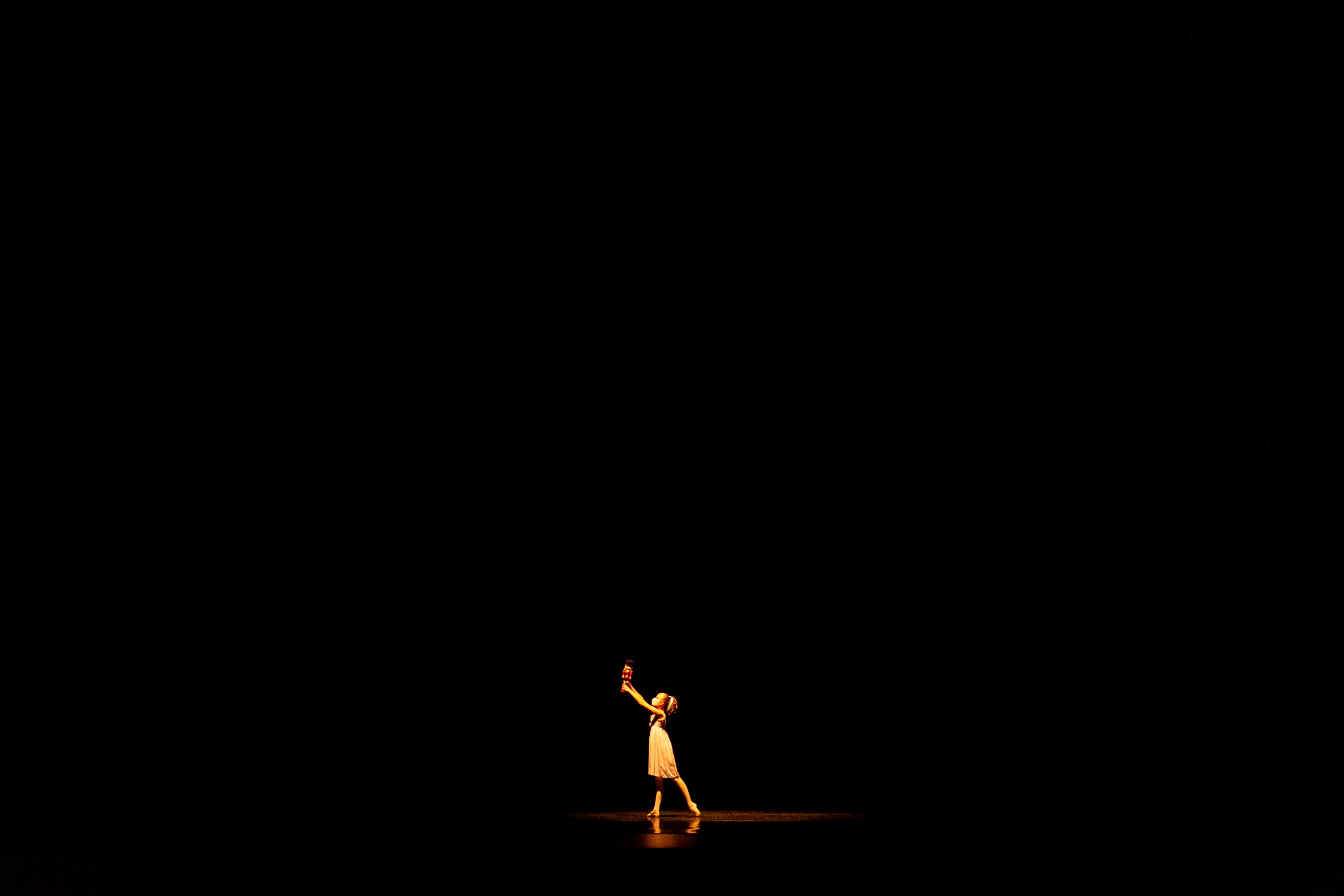 THE NUTCRACKER