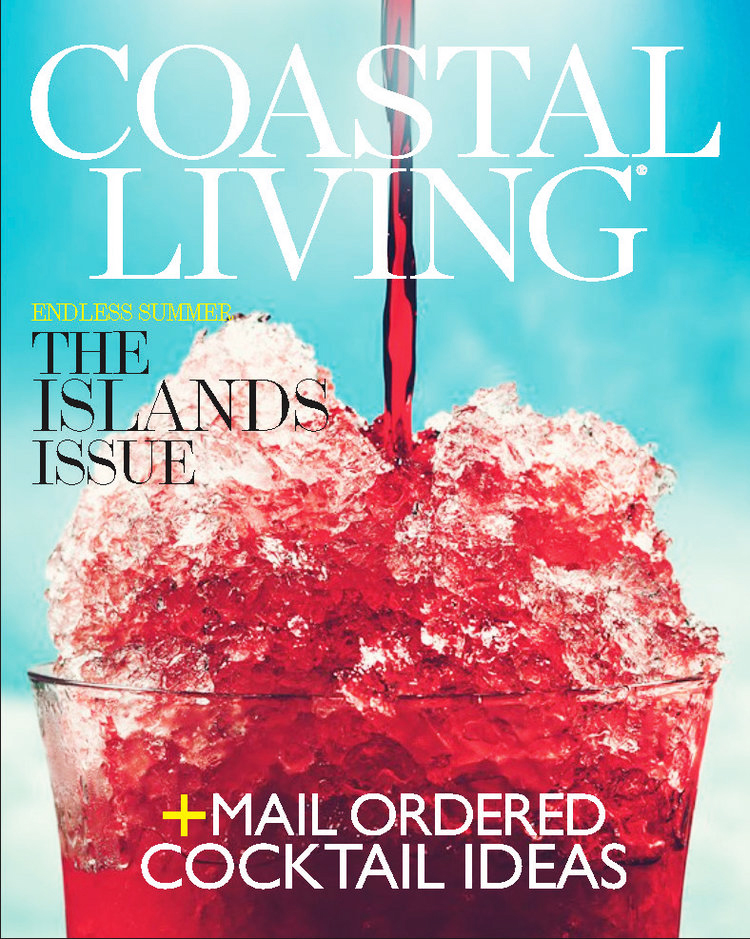 COASTAL+LIVING_CRITIQUE_COVERS_DANIEL+CHEN_Page_4.jpg