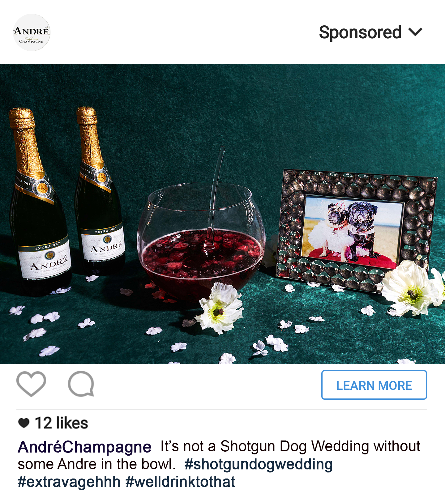 andre dog wedding.png