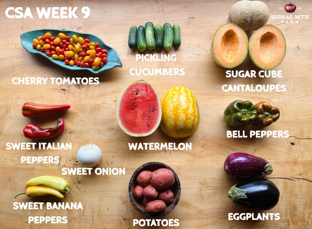 Week 9