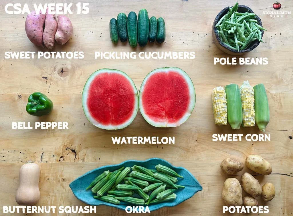 Week 15
