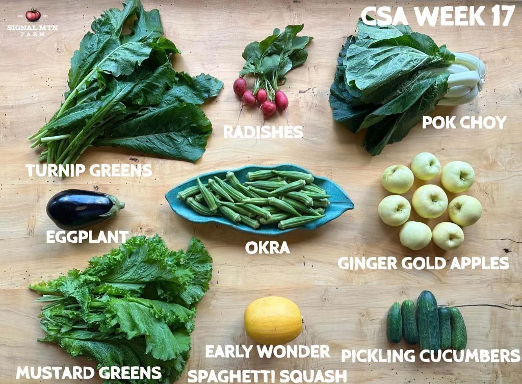 Week 17