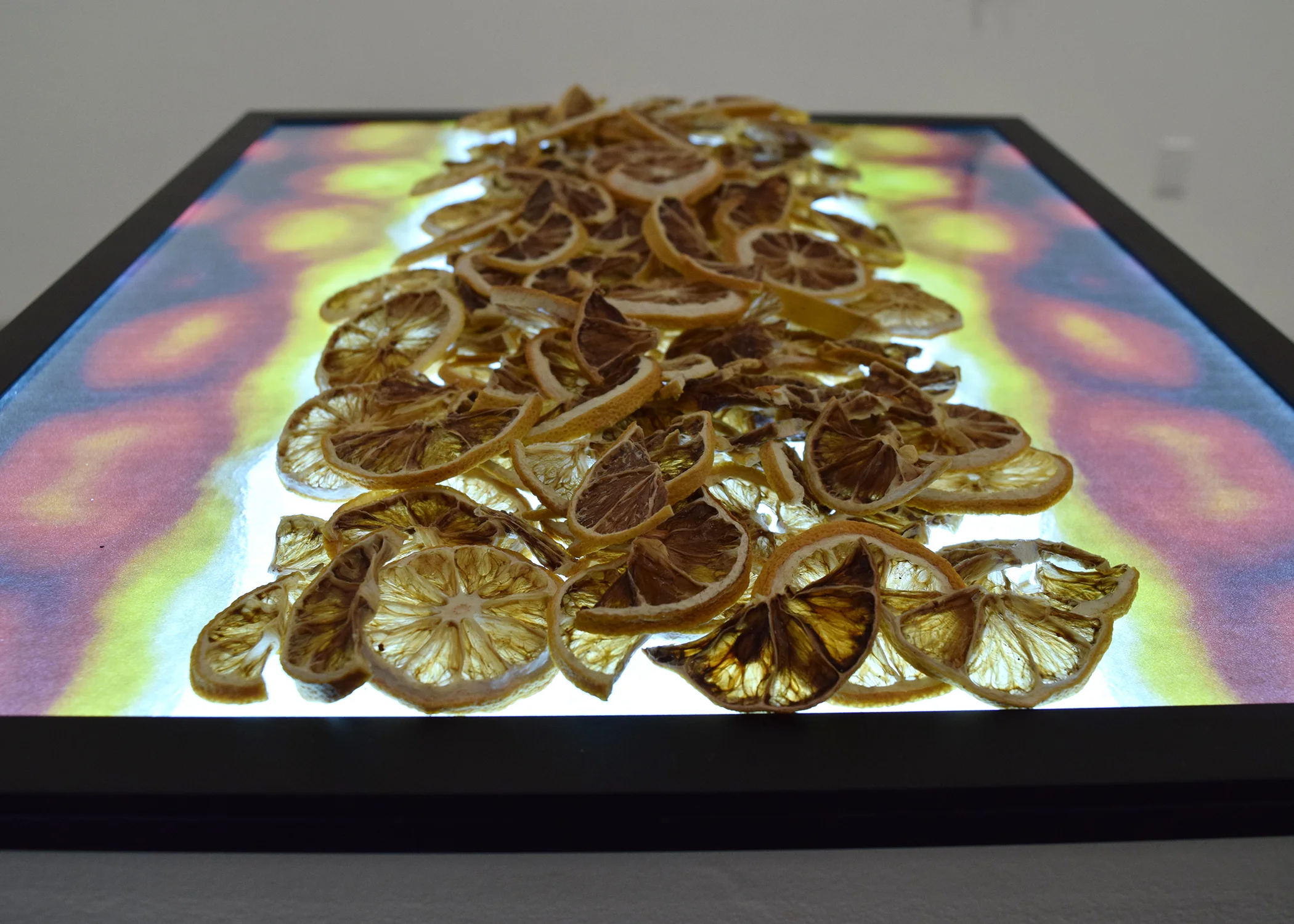 Do You Think You Could Use Lemons as a Coping Mechanism? (Detail)