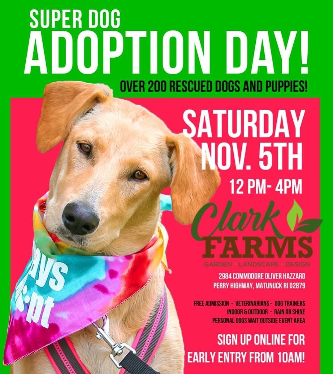November can't get here soon enough! We're whipping up another Super Dog Adoption Day! 

Join us on Saturday, November 5th from 12pm-4pm at Clark Farms! 200+ dogs and puppies will be waiting for YOU! 

Stay tuned in the coming months for more informa