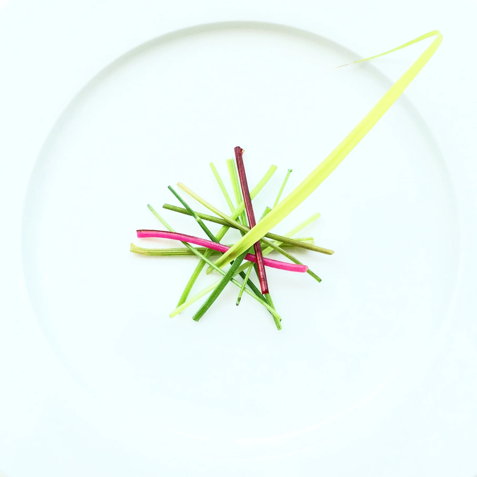 Stems. Toothache Plant. Amaranth. Lemongrass. Sorrel. Fennel. Thai Basil. Bush Basil. Papalo. Epazote. 