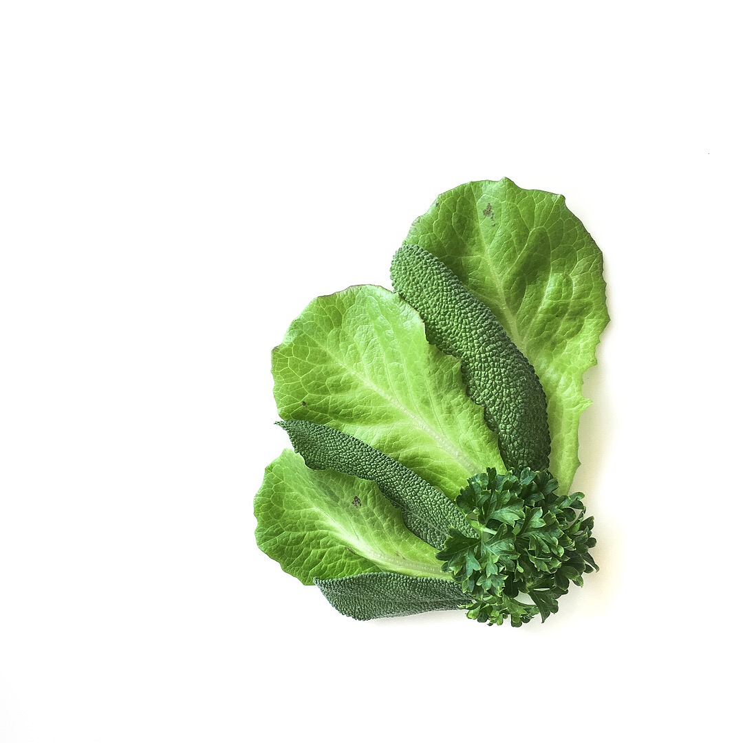 Summer Crisp Lettuce. sage. Wega Parsley. 