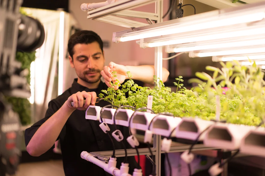 Head Horticulturalist David Goldstein