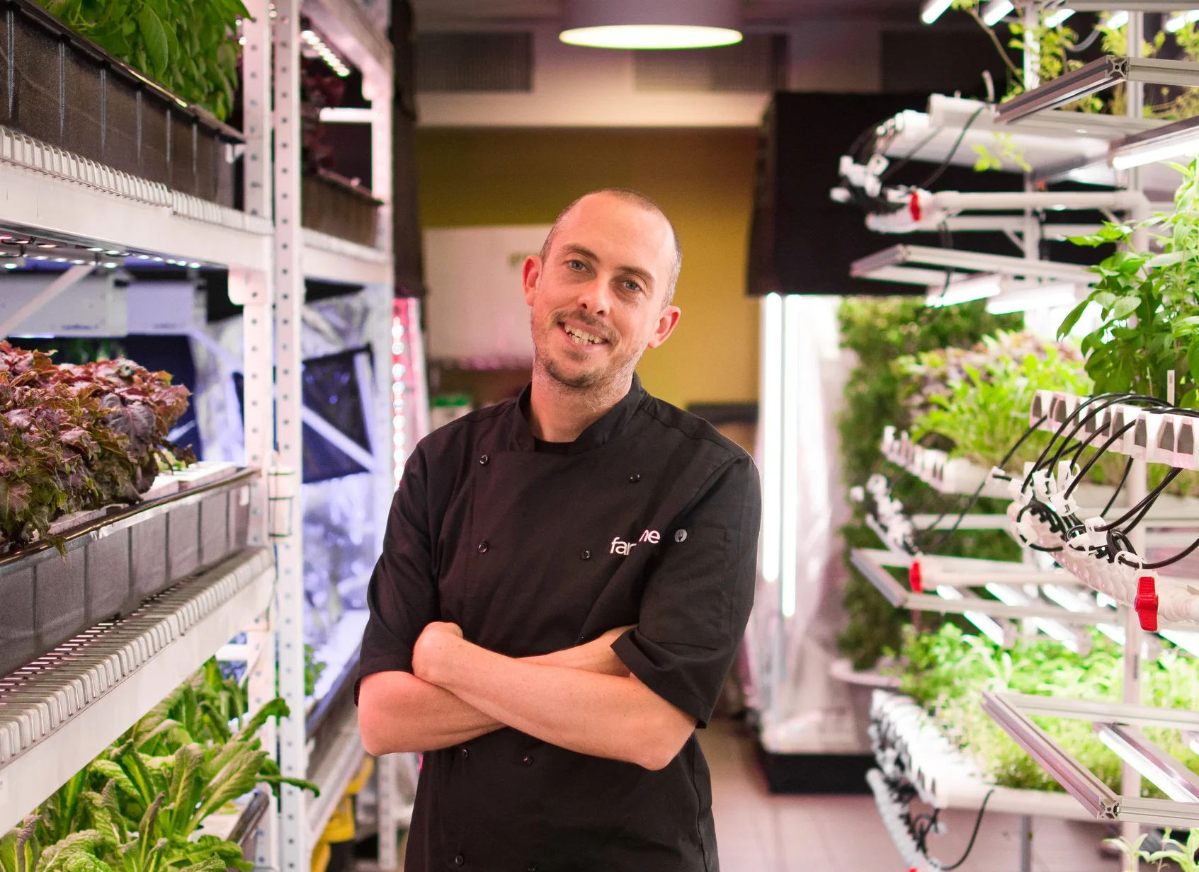 Rob_Laing_Hydroponic_Garden_8.4.16-1.jpg