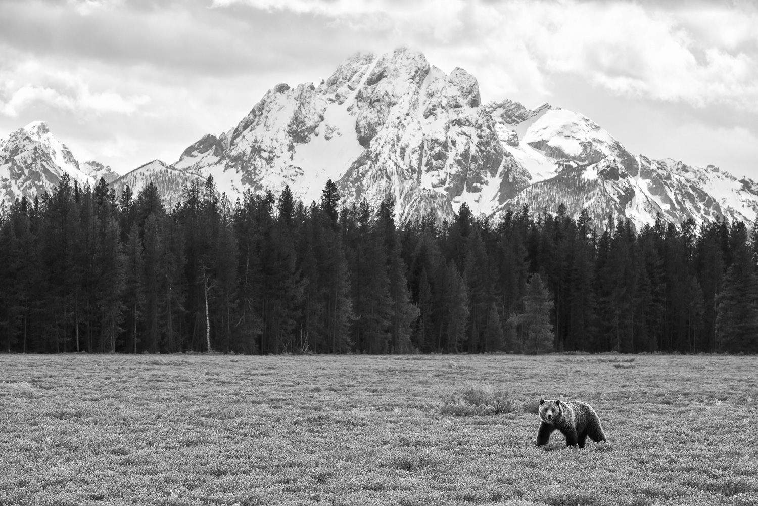 _D602605-Edit-3.jpg