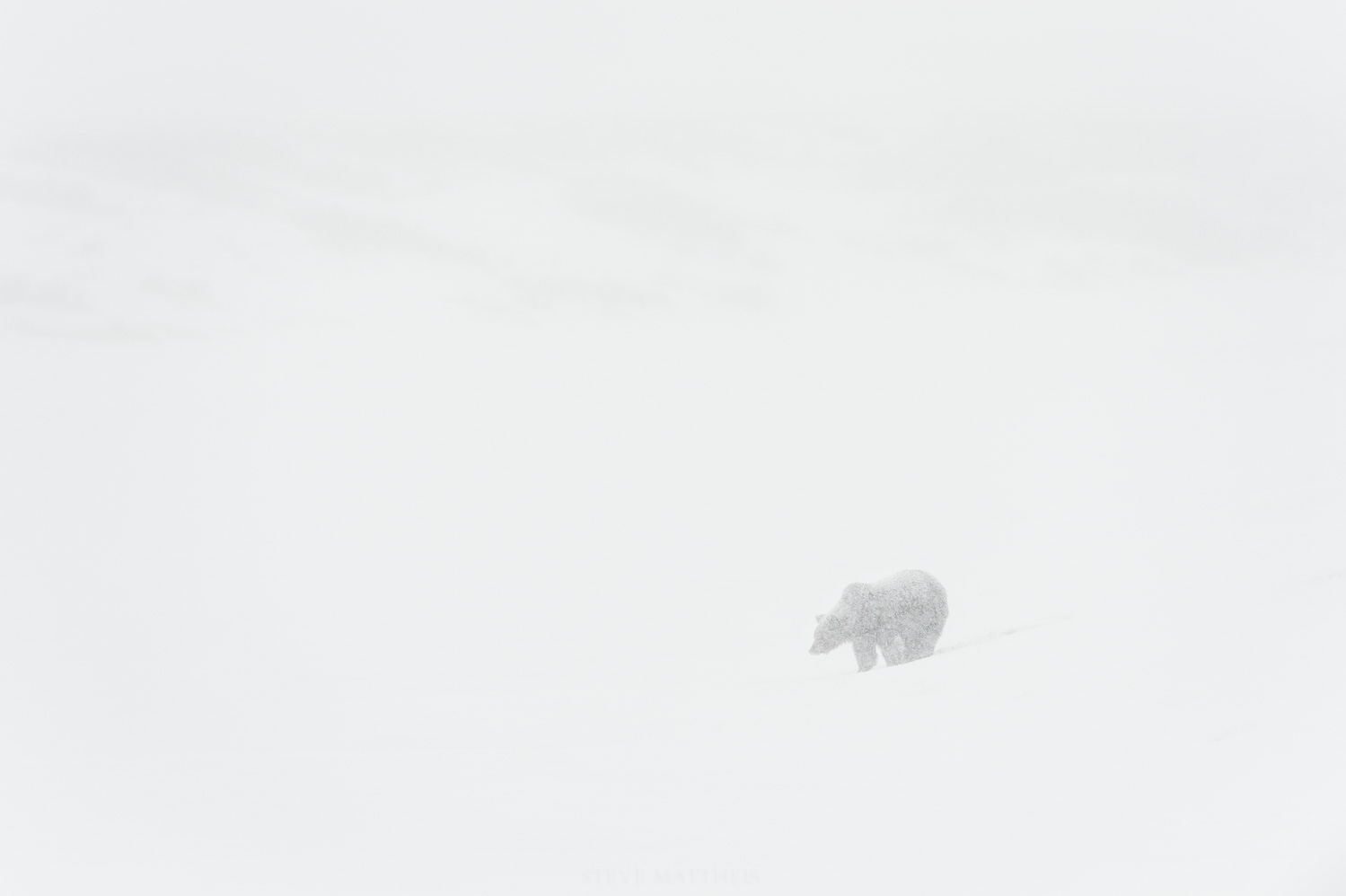 _D417228.jpg