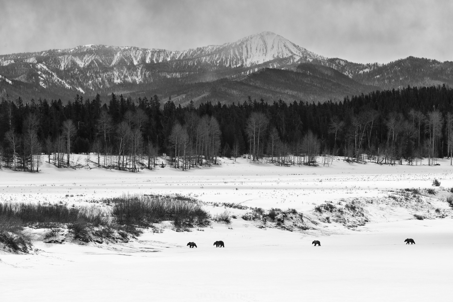 _D600794-Edit.jpg
