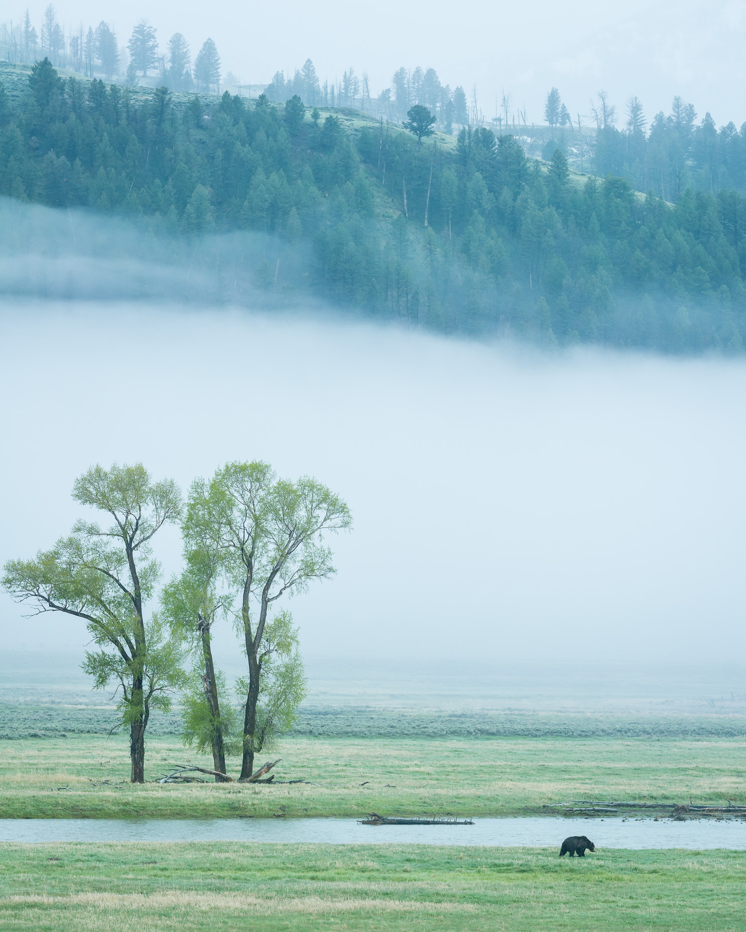 D82_2150.jpg
