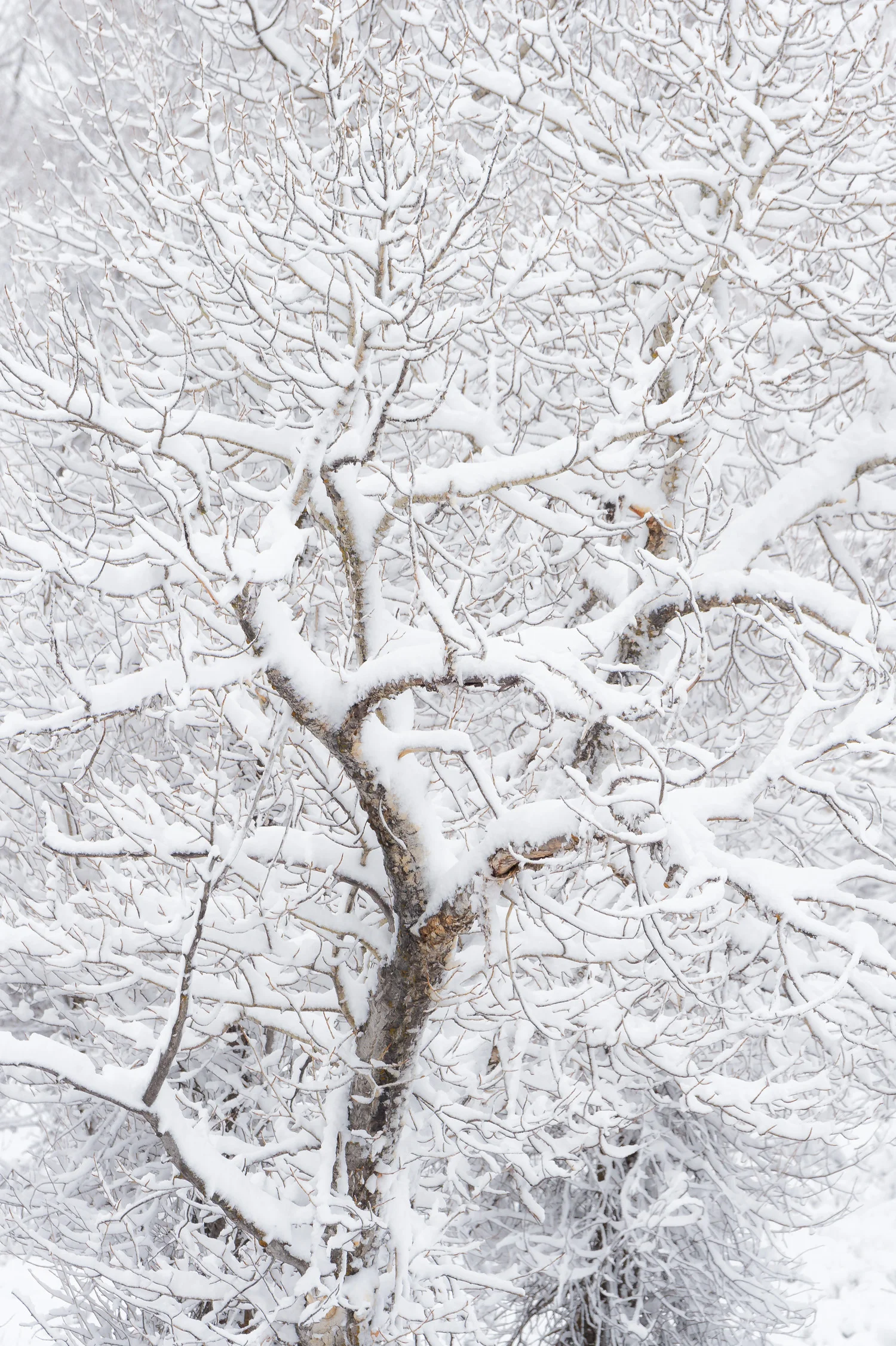 _D4S6583-Edit.jpg