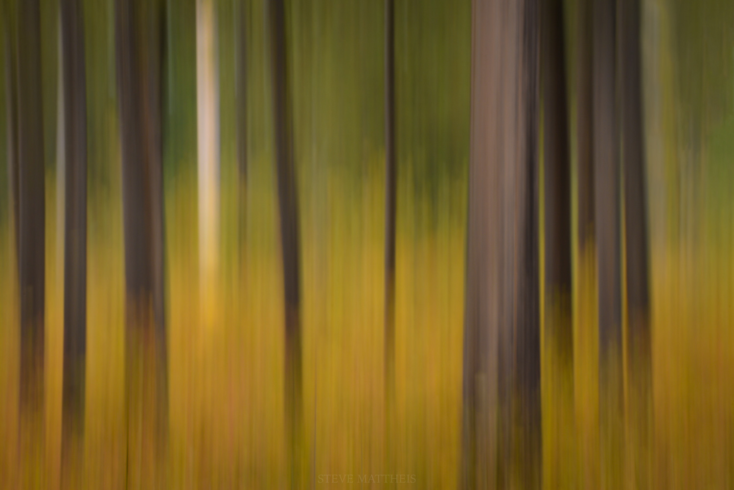 _D600503-Edit-2.jpg