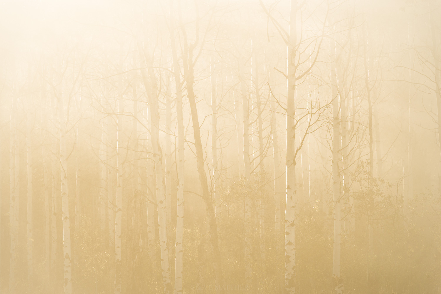 D41_4732-Edit-2.jpg