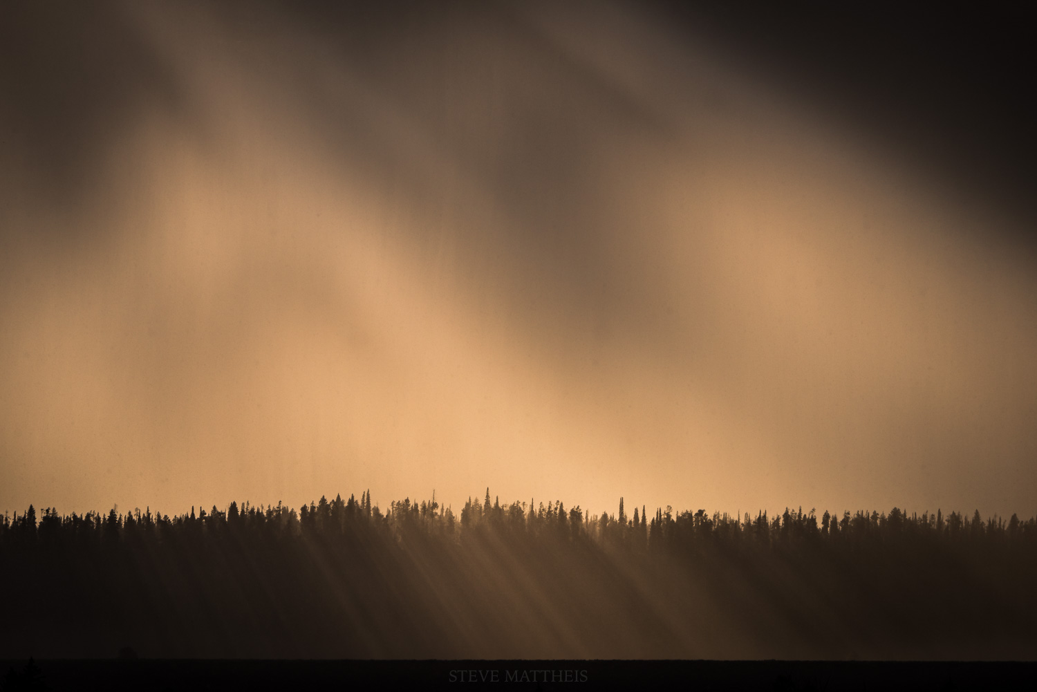 _D812878.jpg