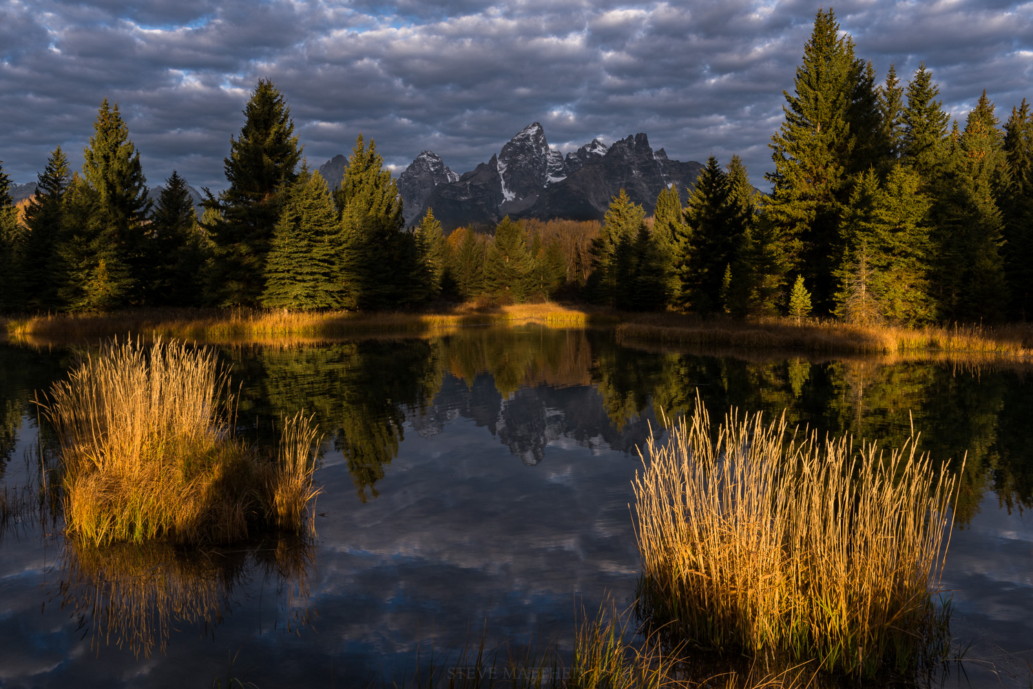 _D814639-Edit.jpg