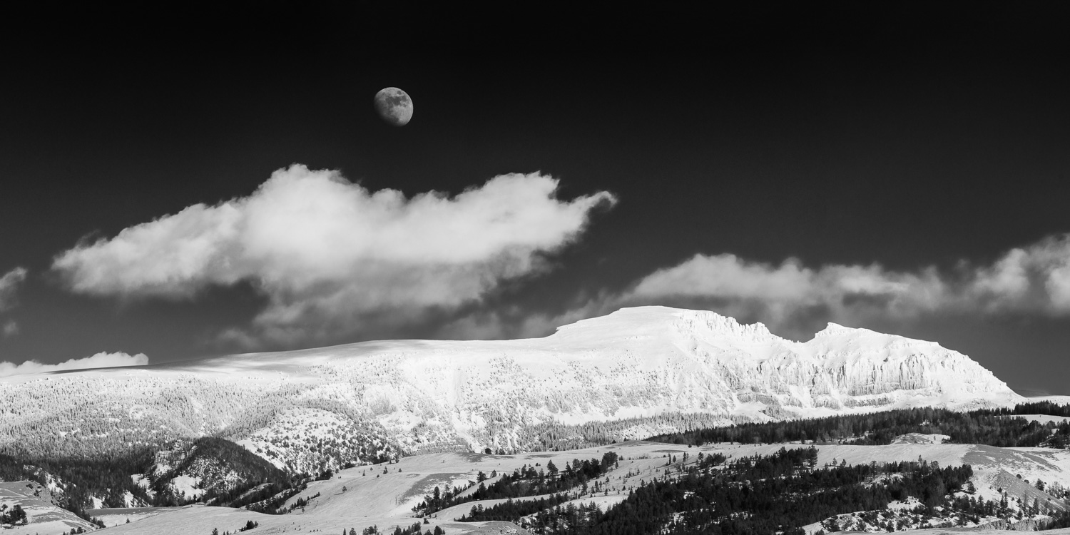_D824802-Edit-Edit.jpg