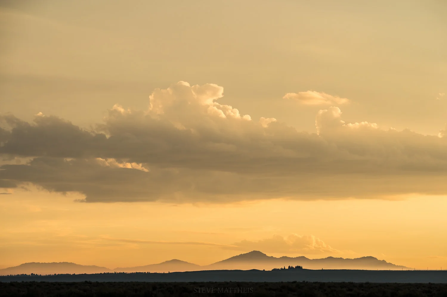 D41_4436.jpg