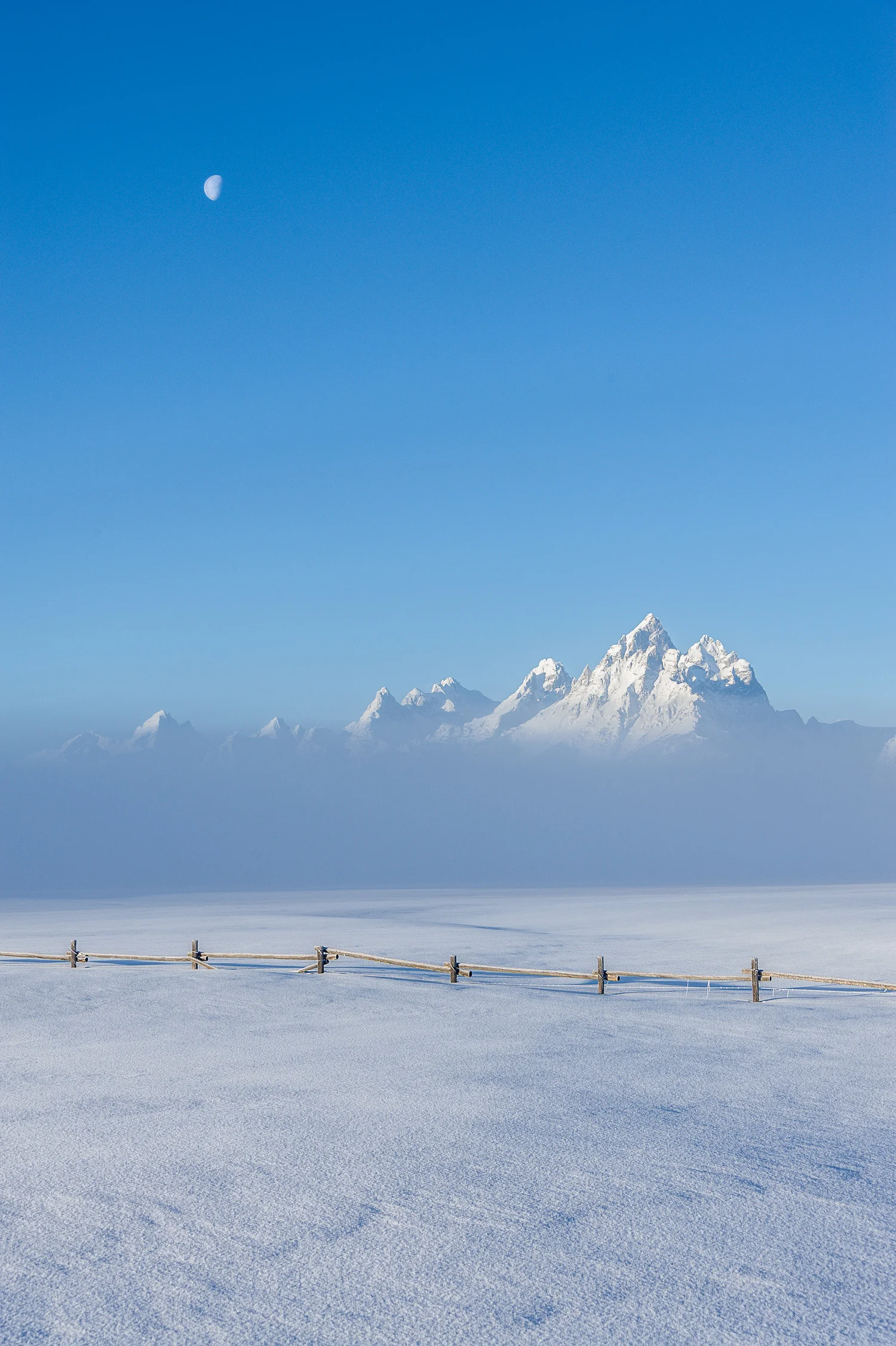 DSC_7051-Edit.jpg