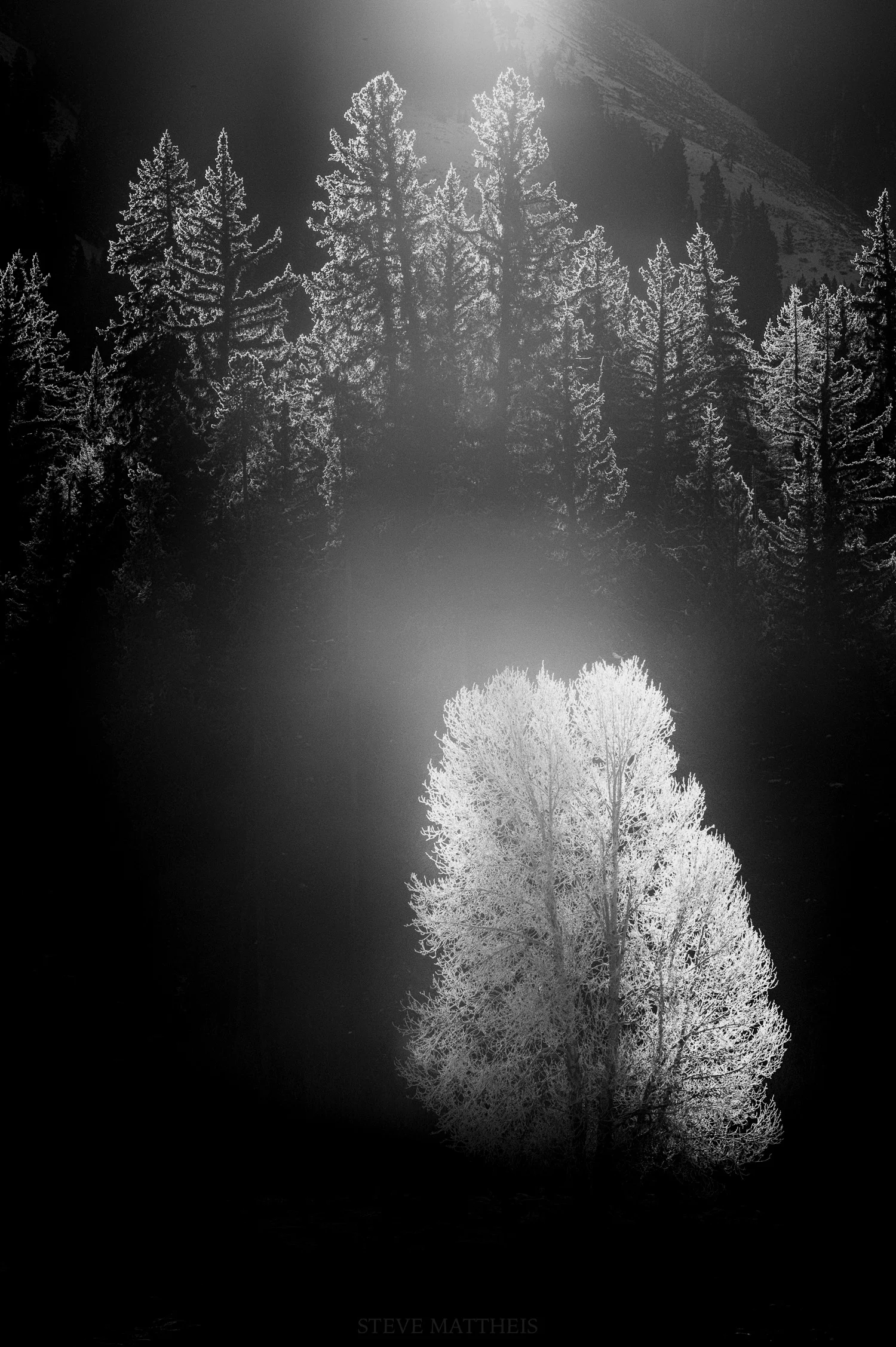 _D4S4891-Edit.jpg