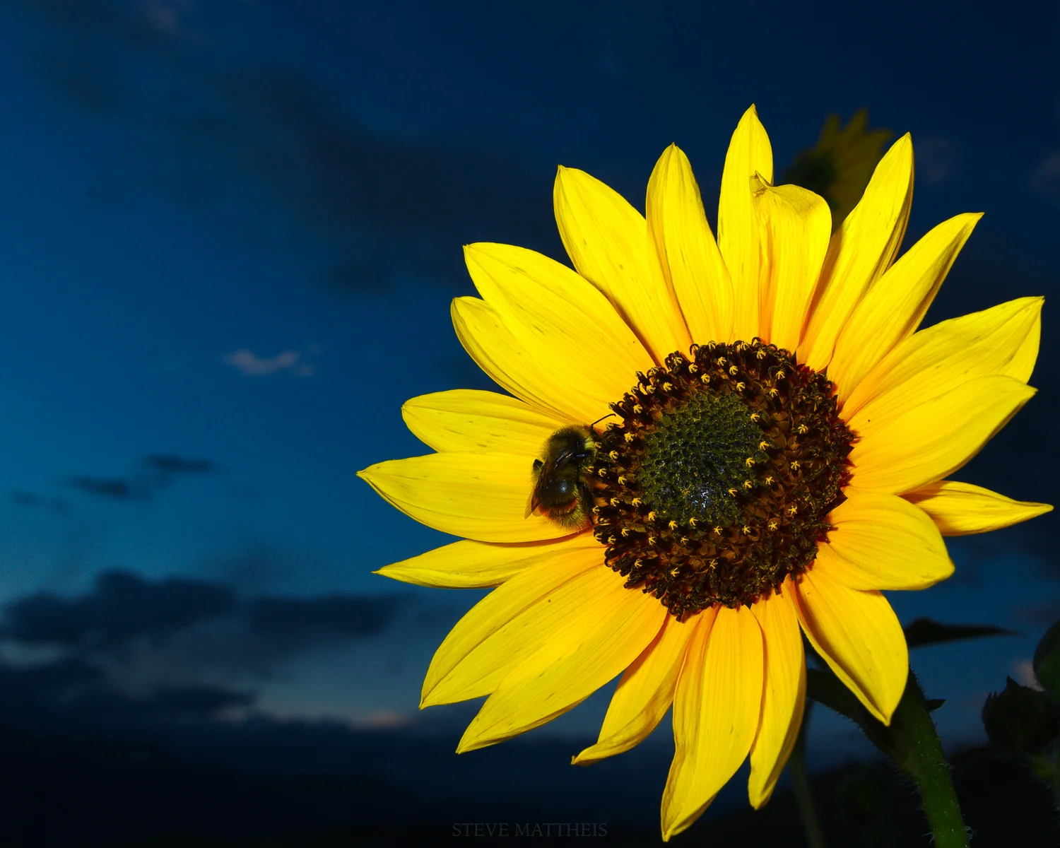 _D3S2706-Edit.jpg