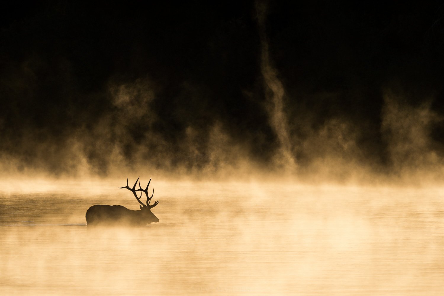 _D4S1373-Edit.jpg