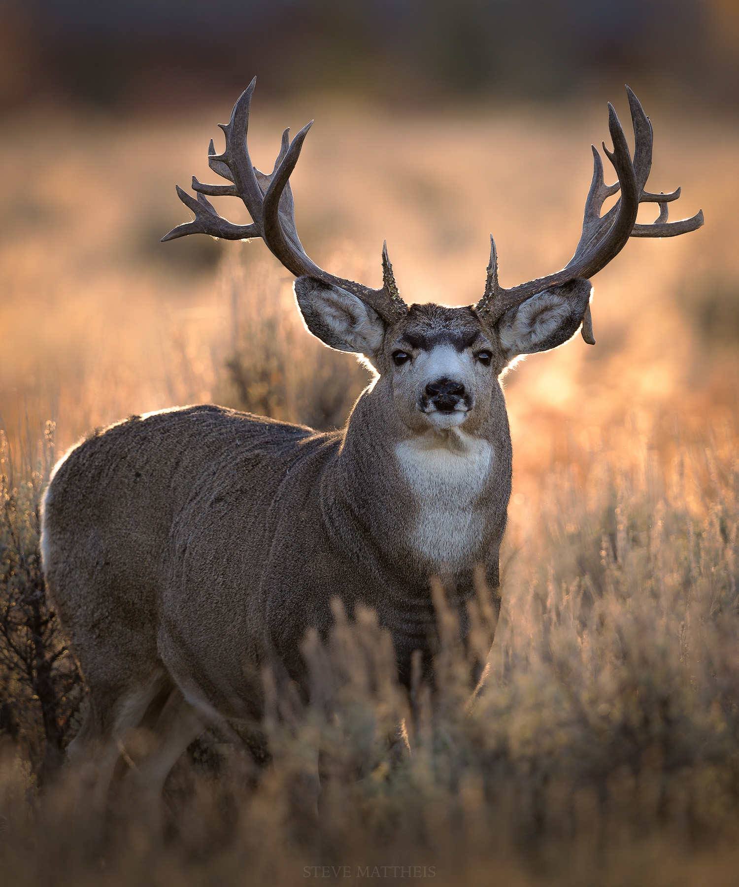 _D419295-Edit.jpg
