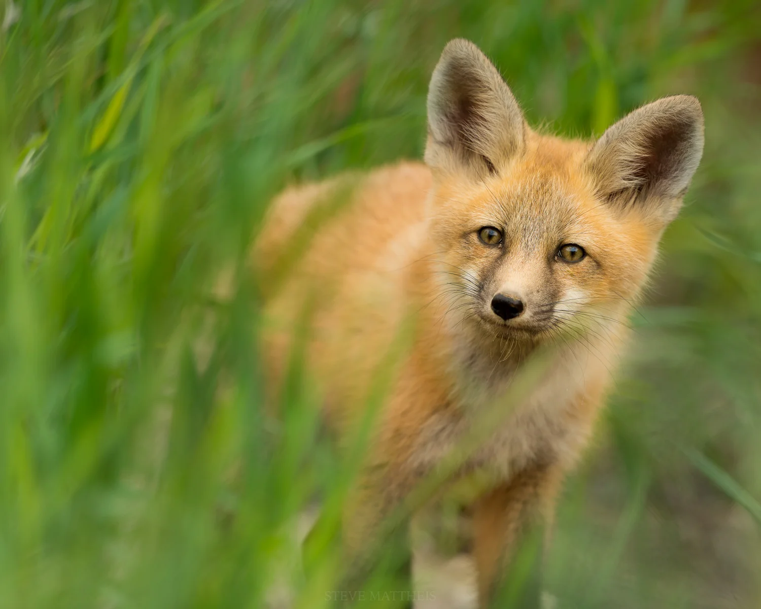 D8E_3713-Edit.jpg