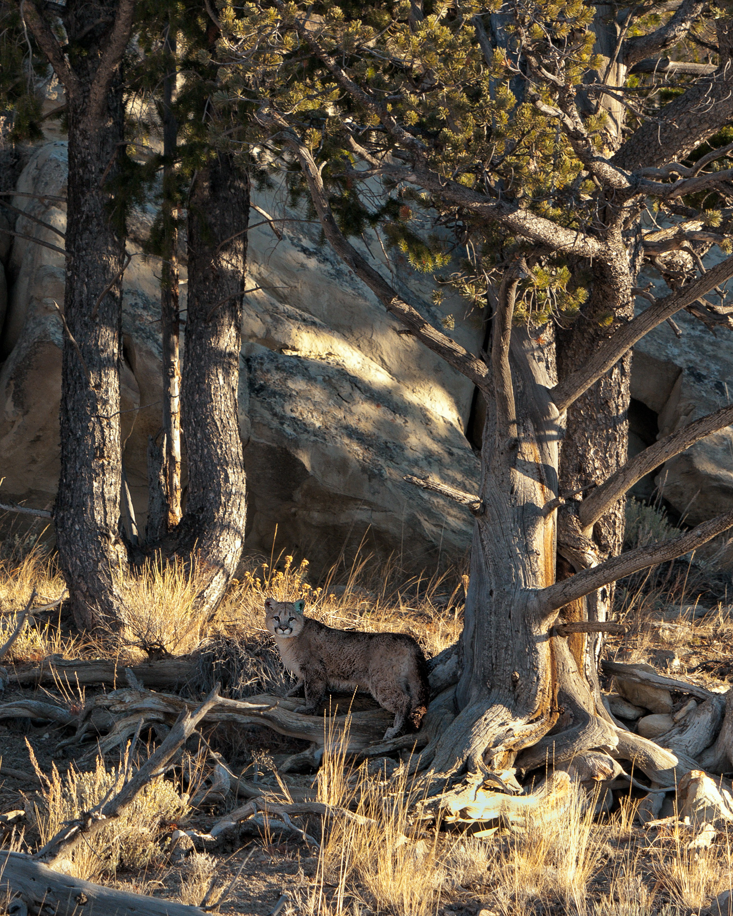 D30_7575-Edit-Edit.jpg