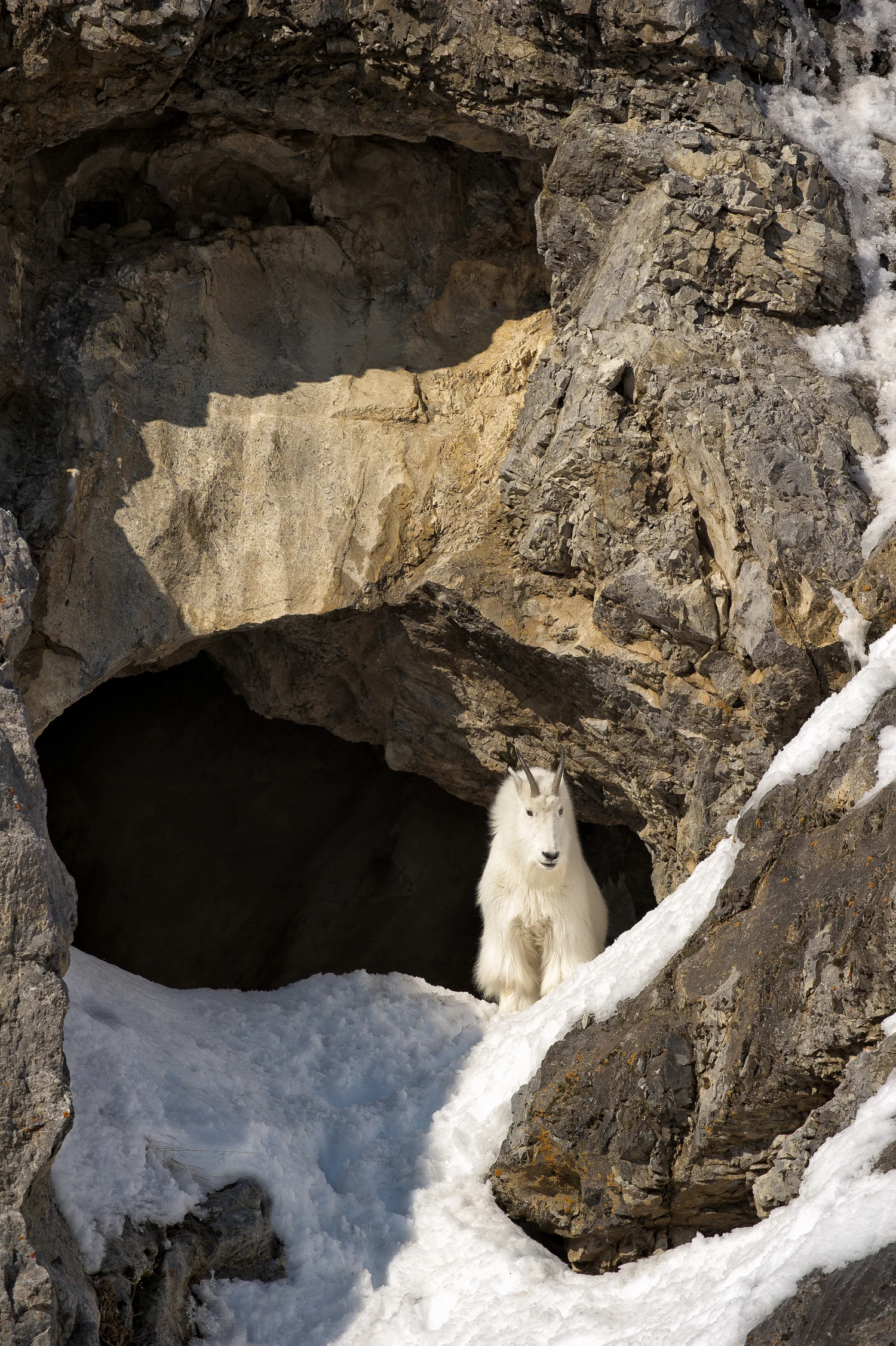 D3S_4356-Edit.jpg