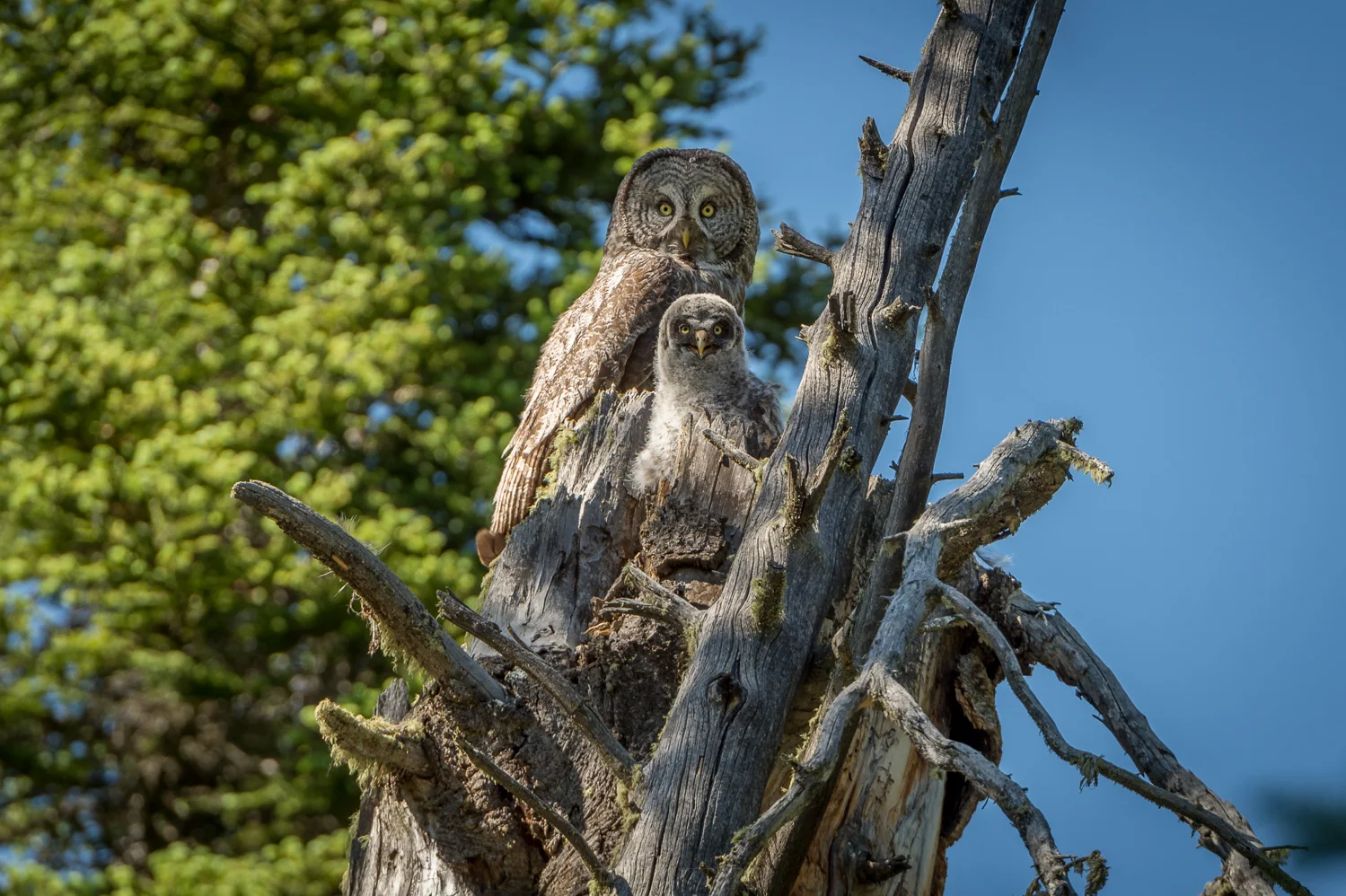 _D4S4237-HDR.jpg