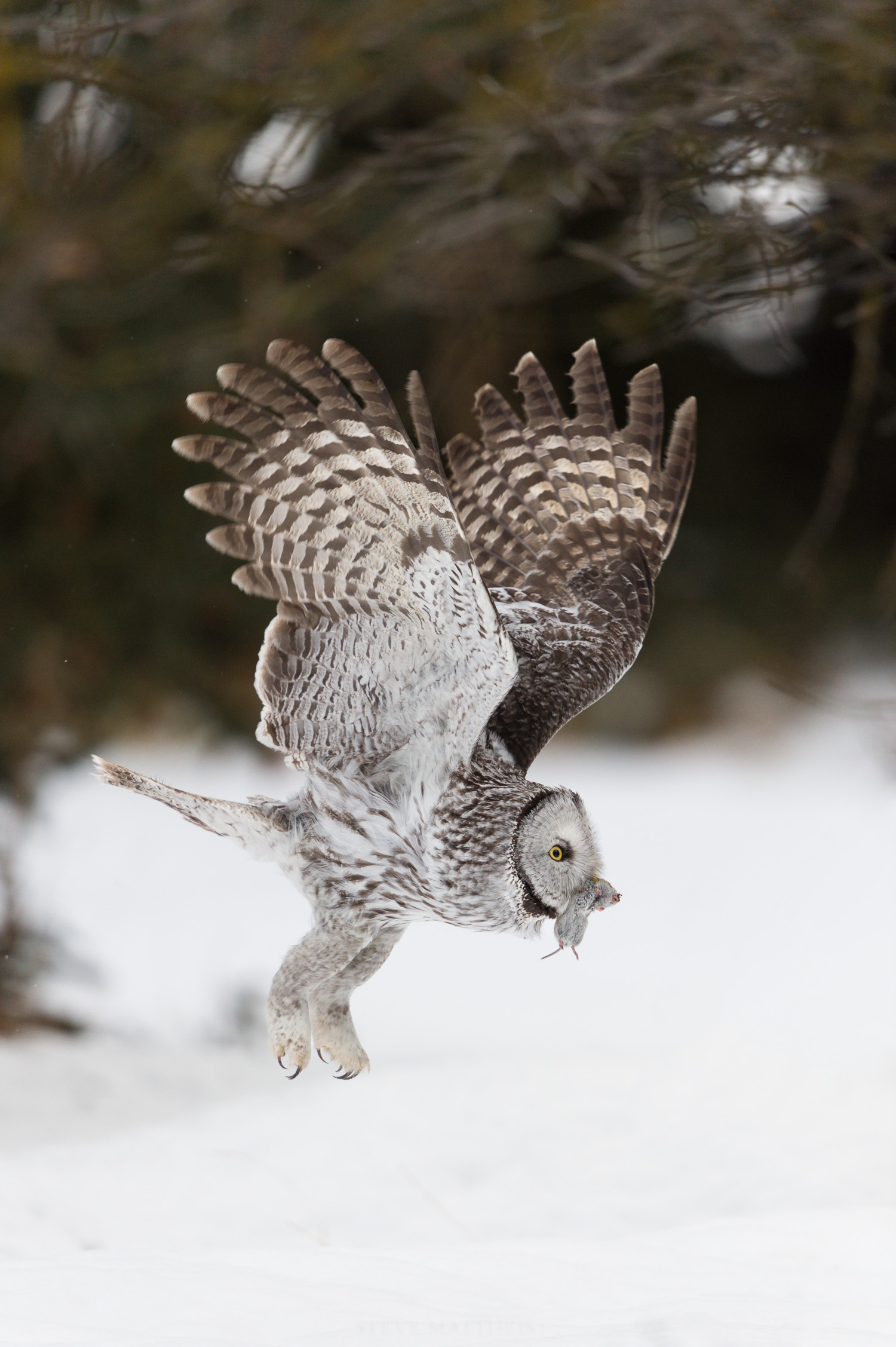_D4S9617-Edit.jpg