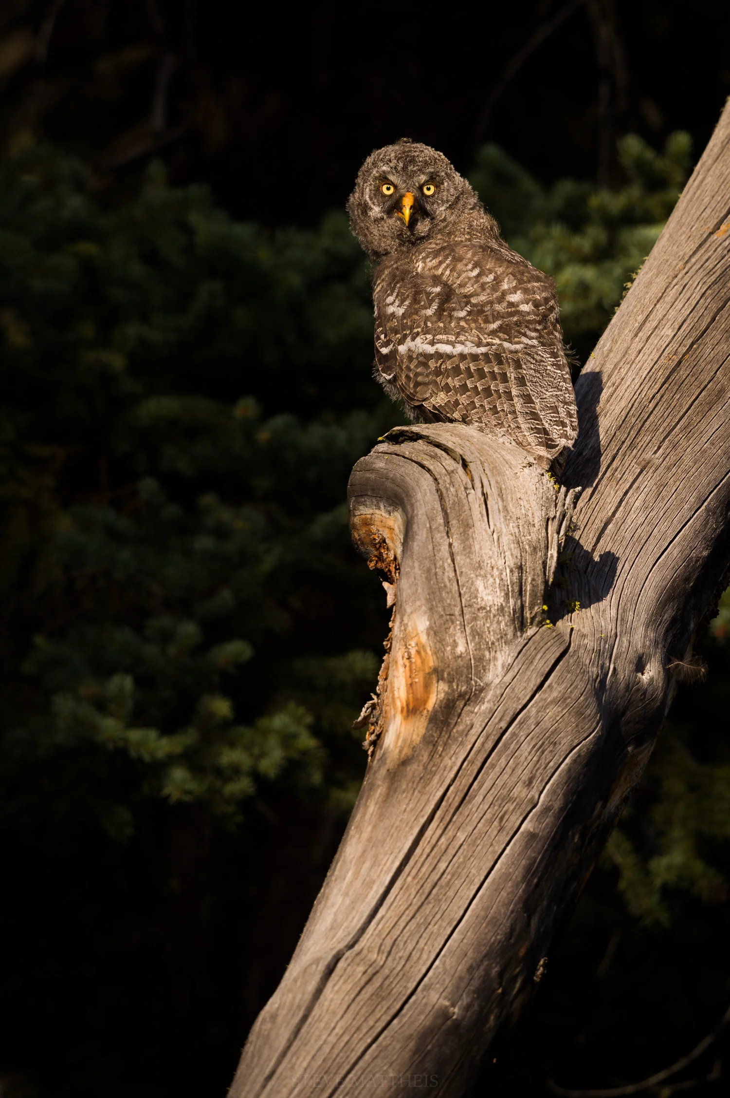 _D4S5774-Edit.jpg