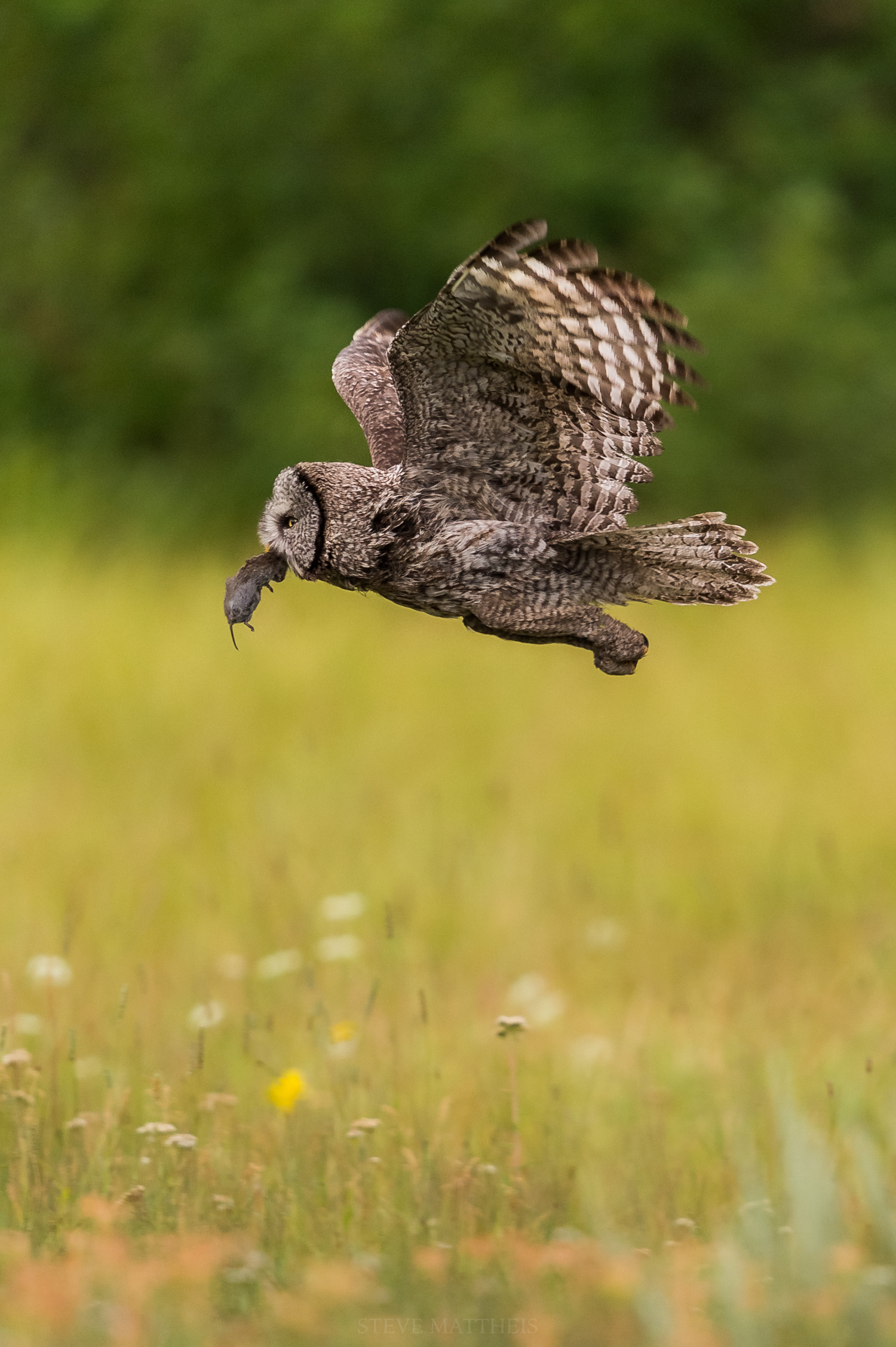 _D4S6596-Edit.jpg