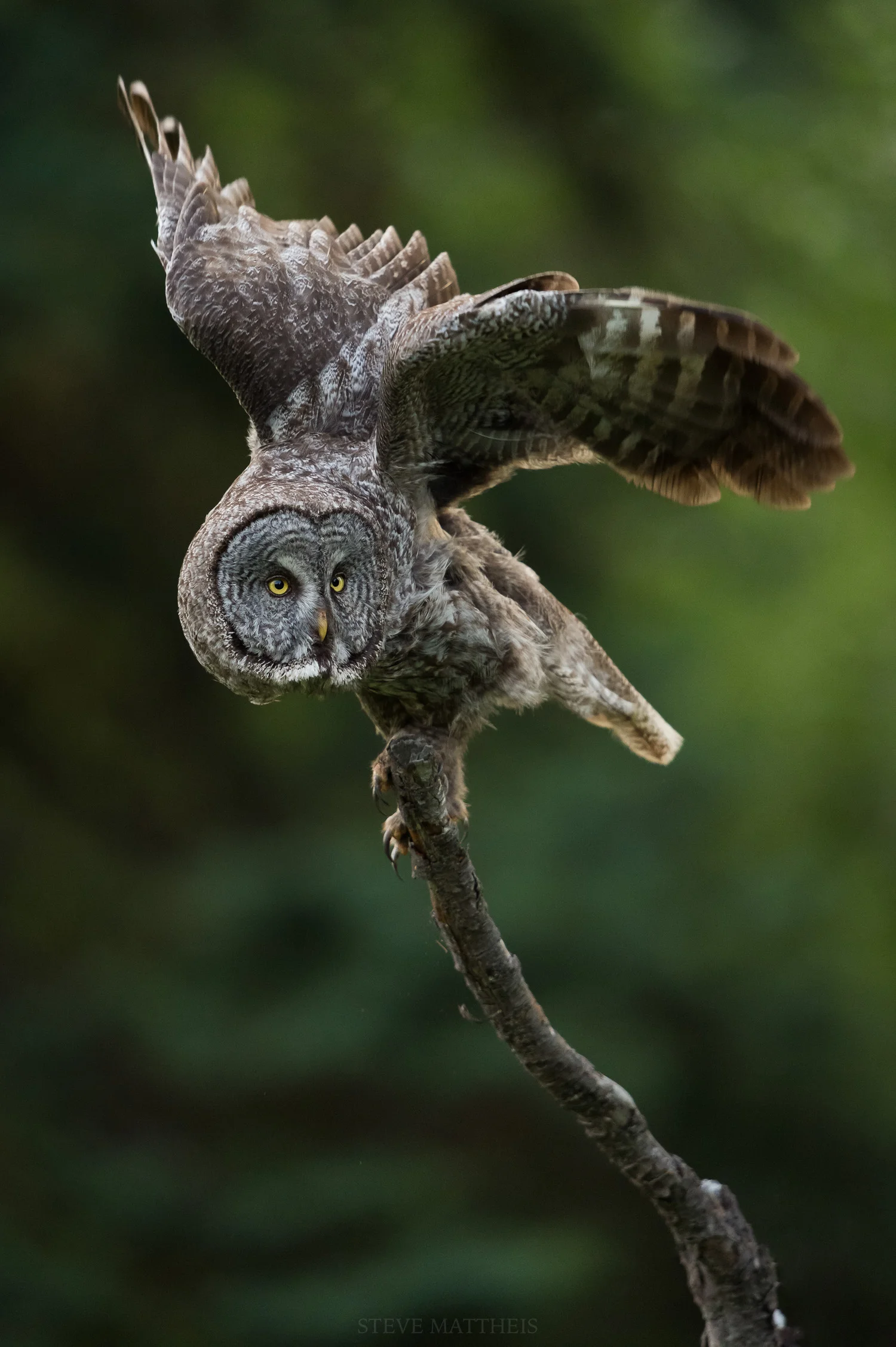 _D4S4070-Edit.jpg