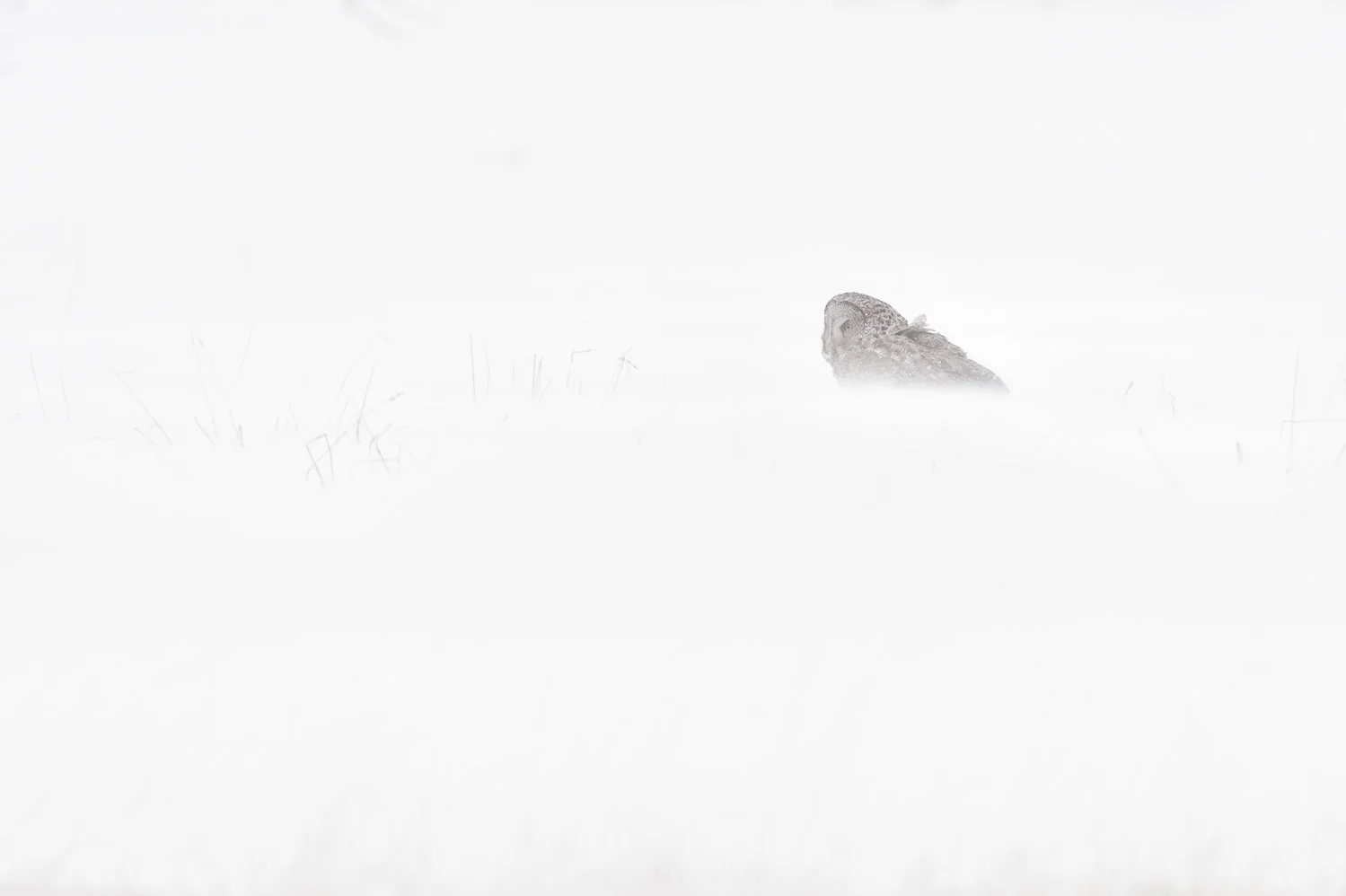 _D4S5887-Edit.jpg