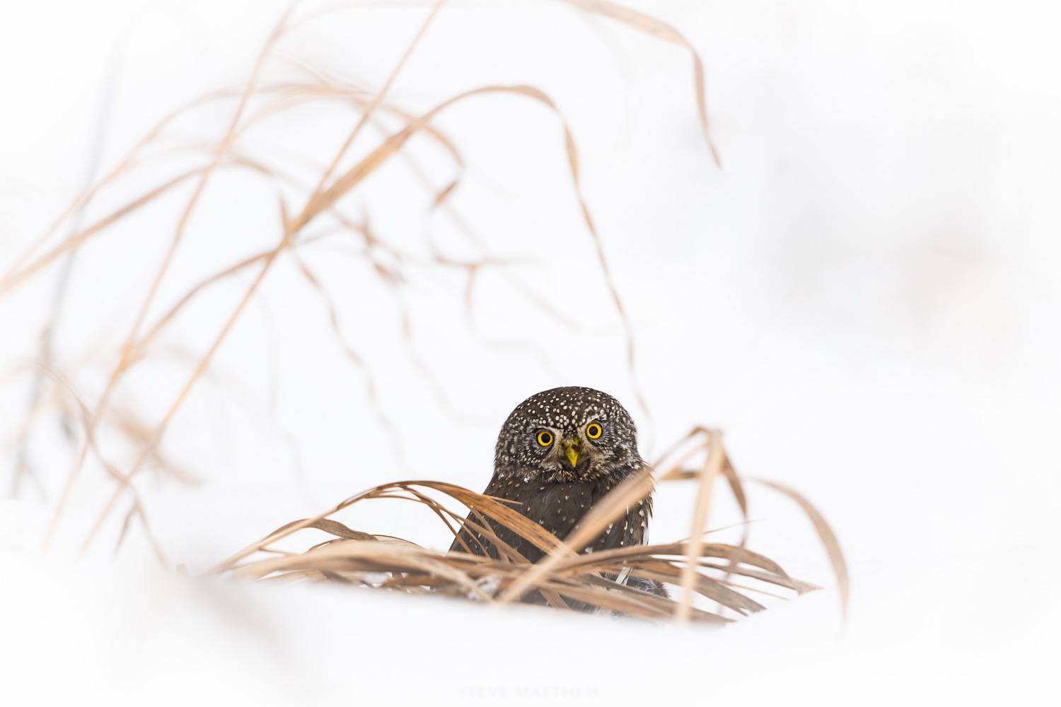 _D418813-Edit.jpg