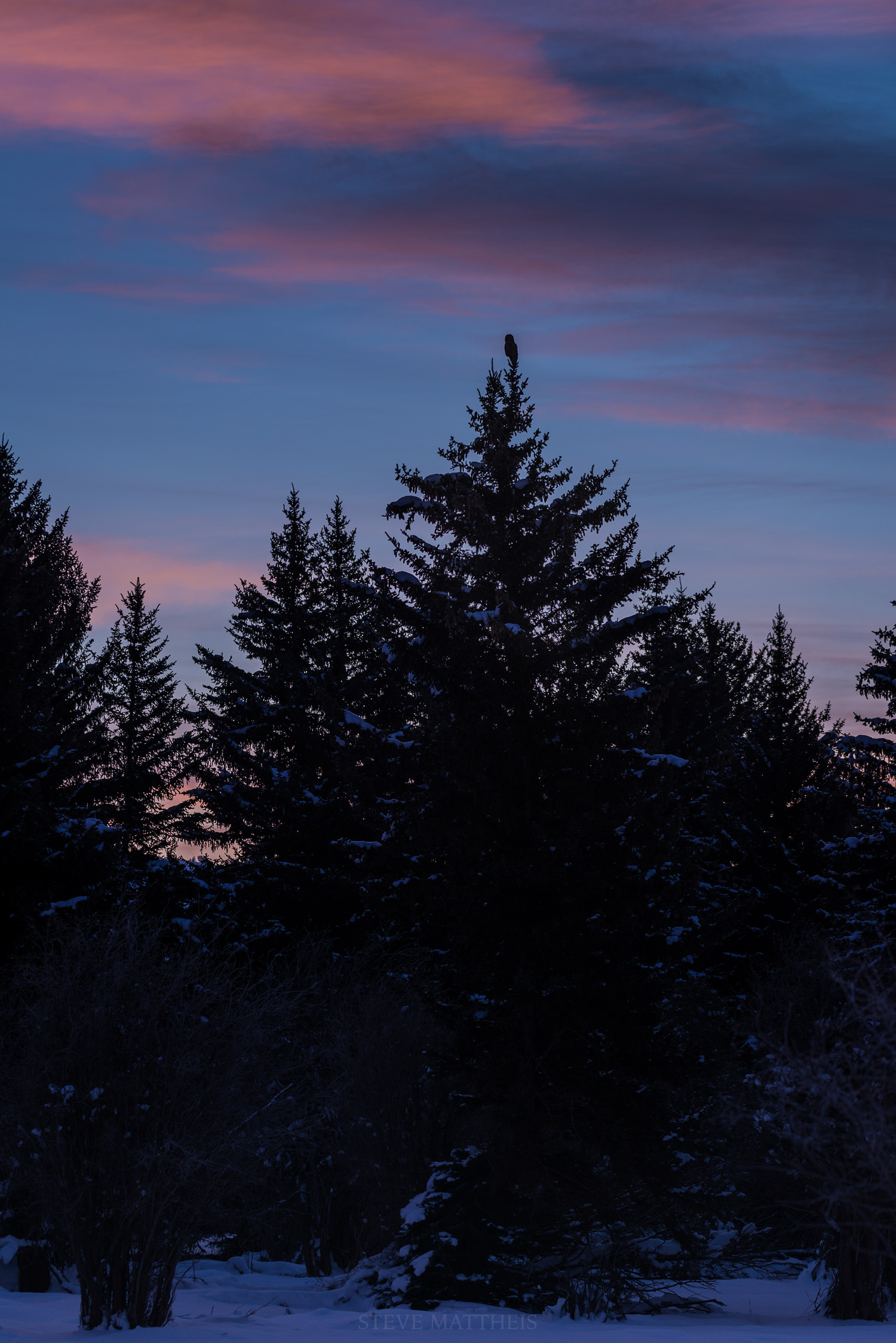 _D8E8339-Edit.jpg