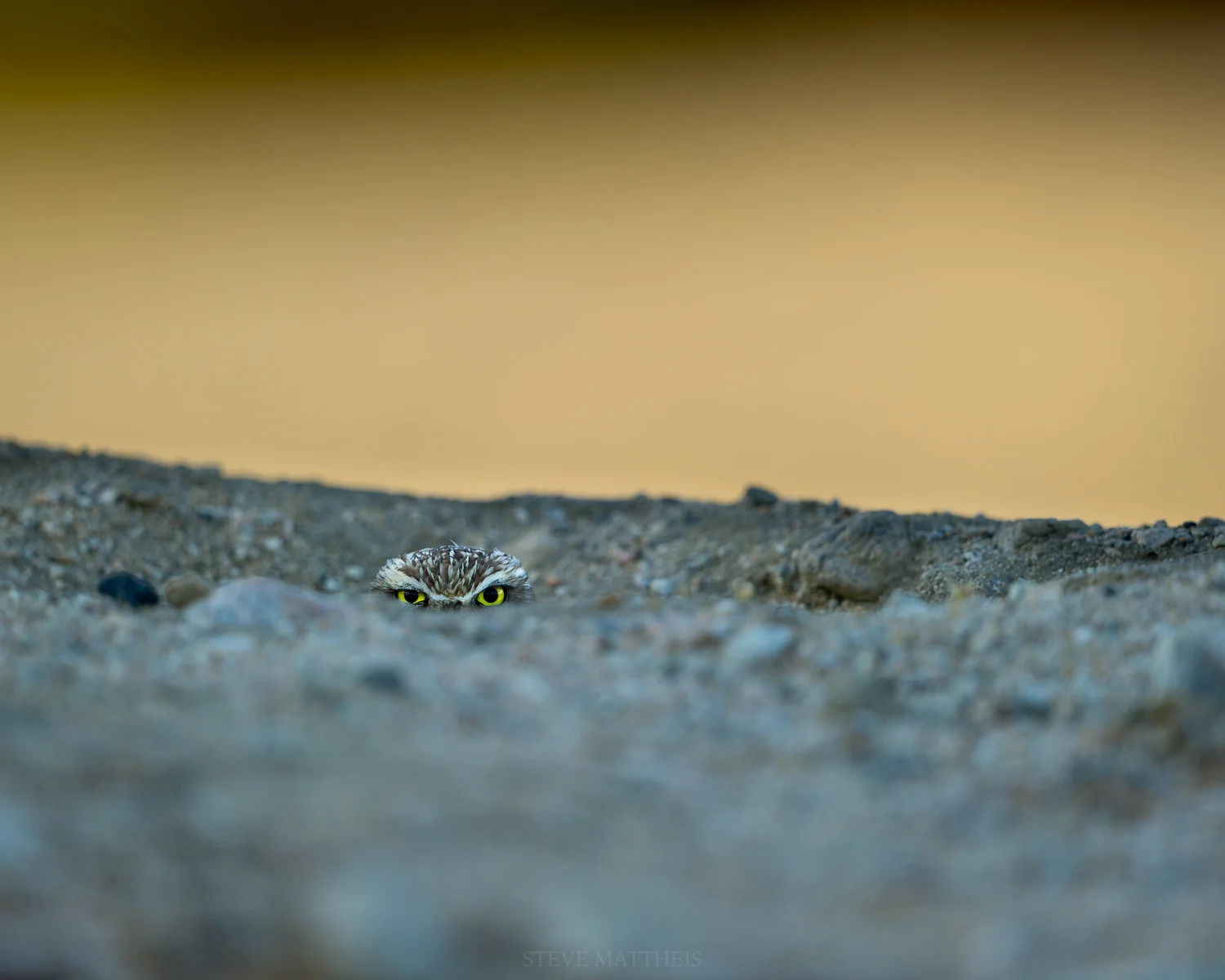 D3S_5544-Edit.jpg