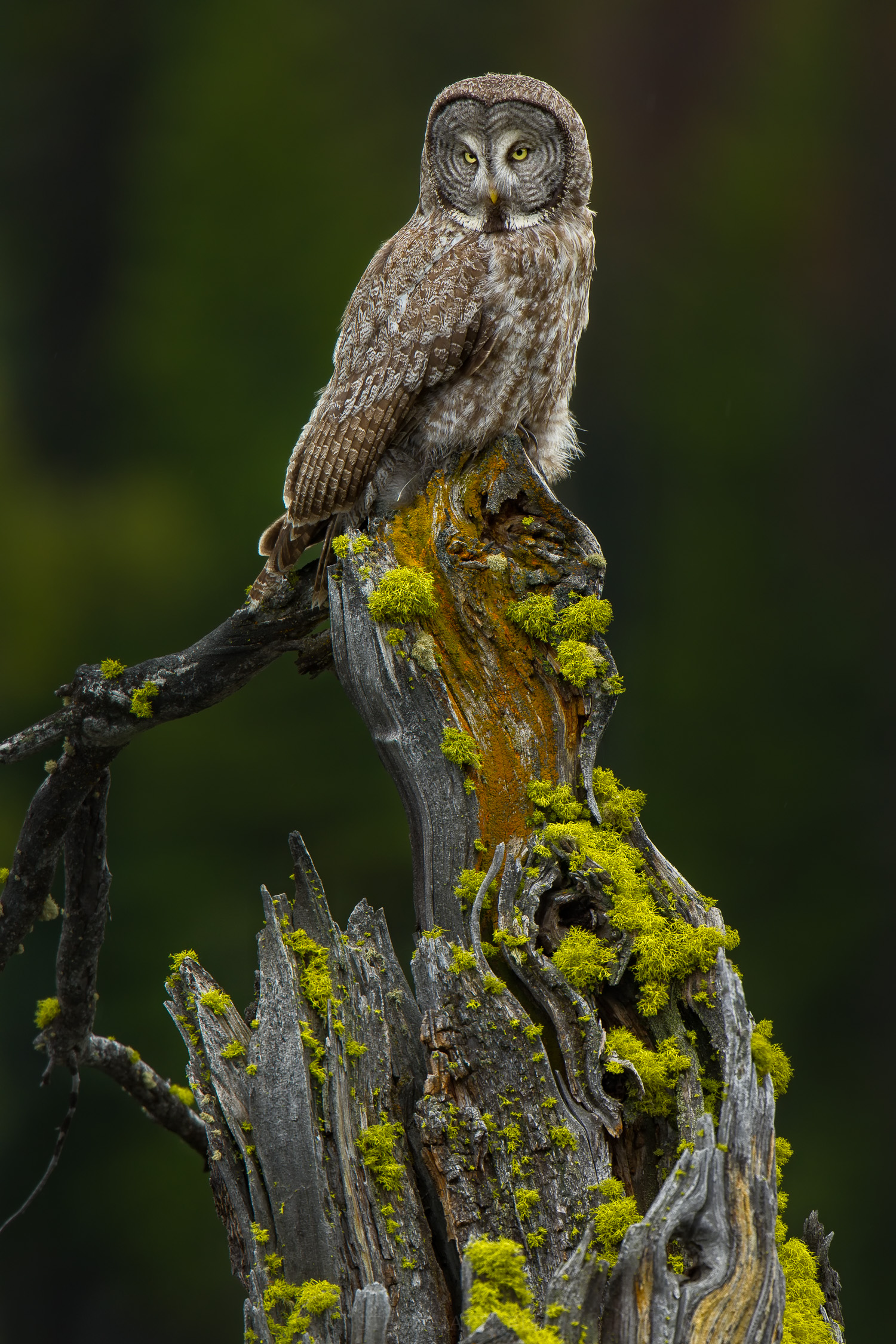 _D3S4826-Edit.jpg