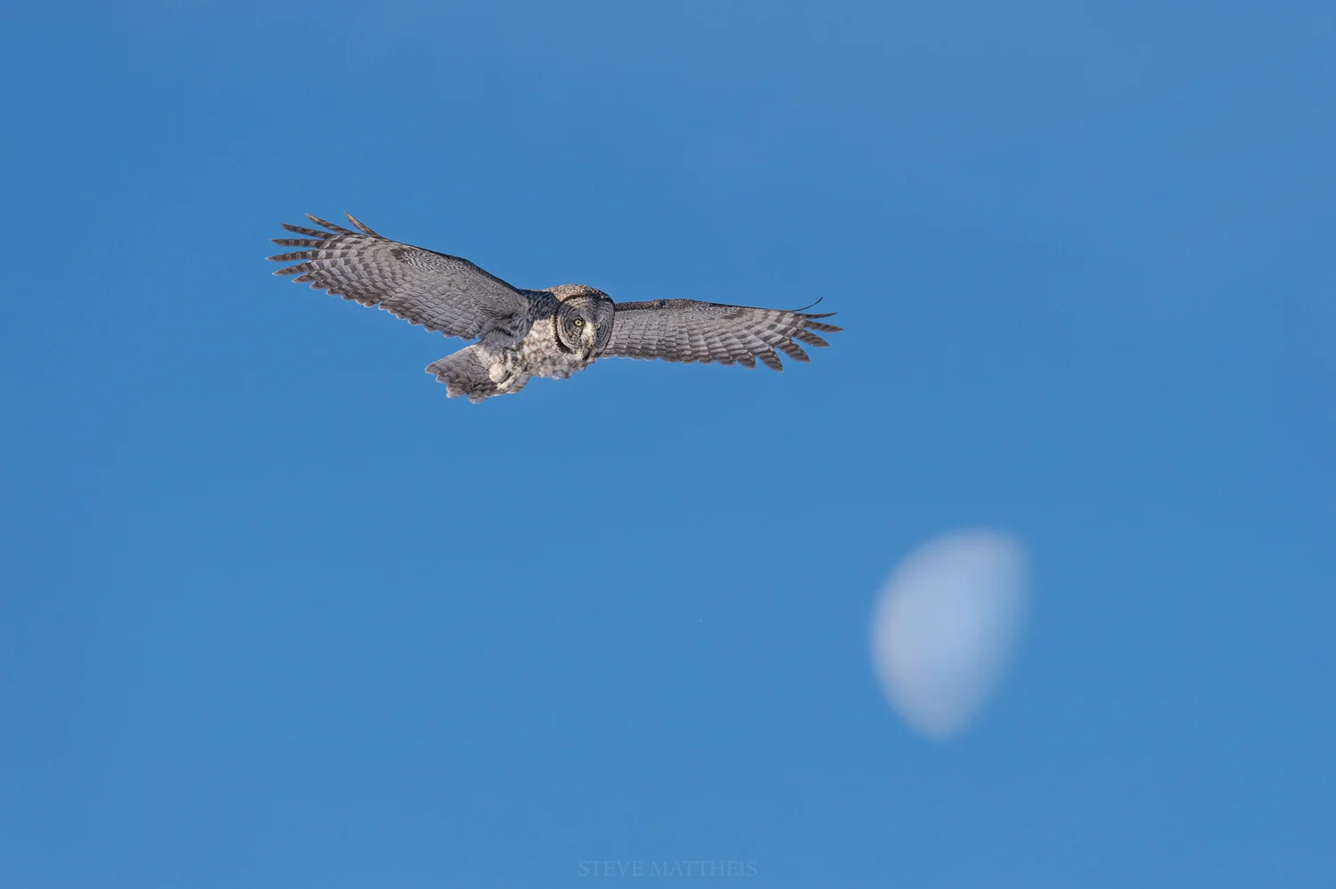 _D414331-Edit.jpg