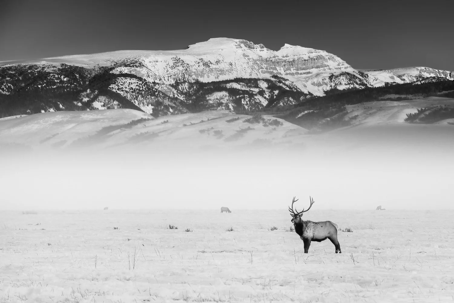 XT1X7914-Edit-Edit.jpg