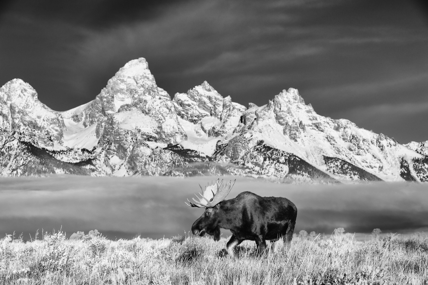_D4S7933-Edit.jpg