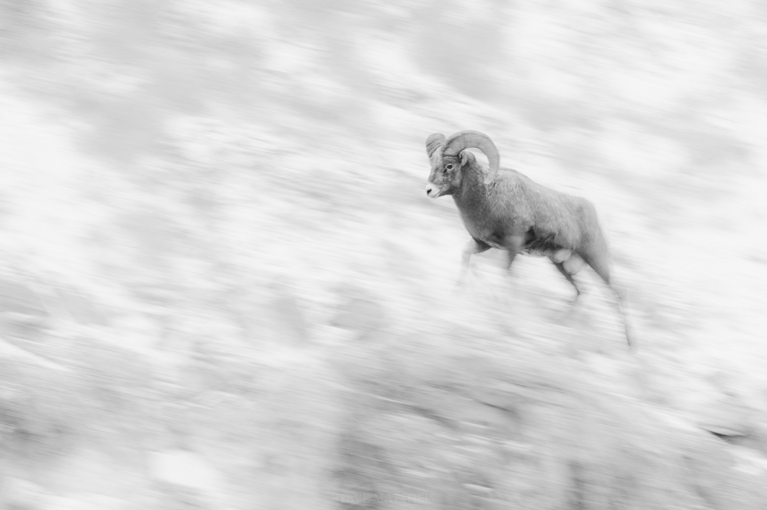 _D4S2229-Edit.jpg