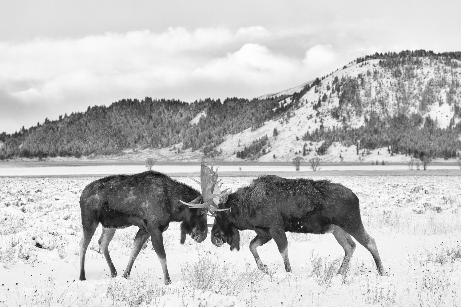 _D4S3482-Edit-Edit.jpg