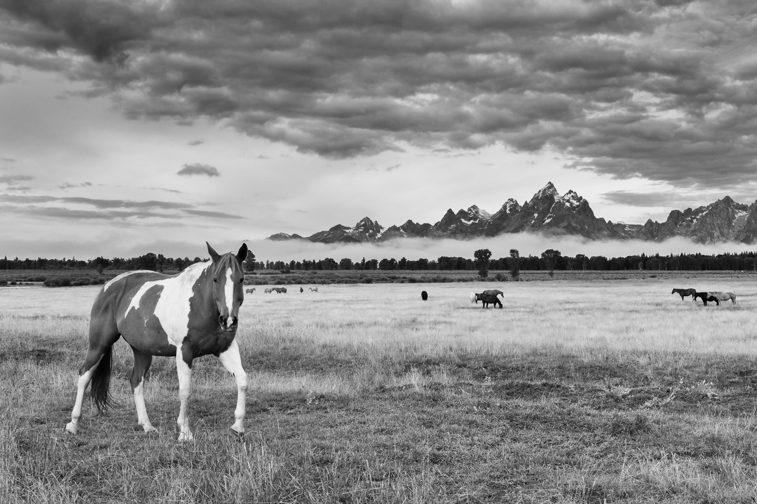 _D4S8258-Edit.jpg